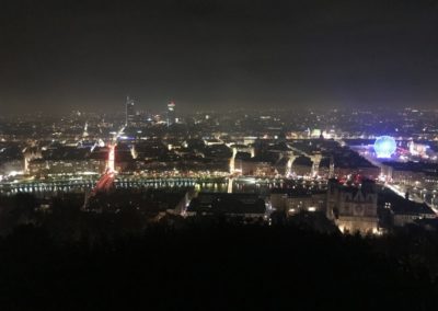 Lyon vue panoramique